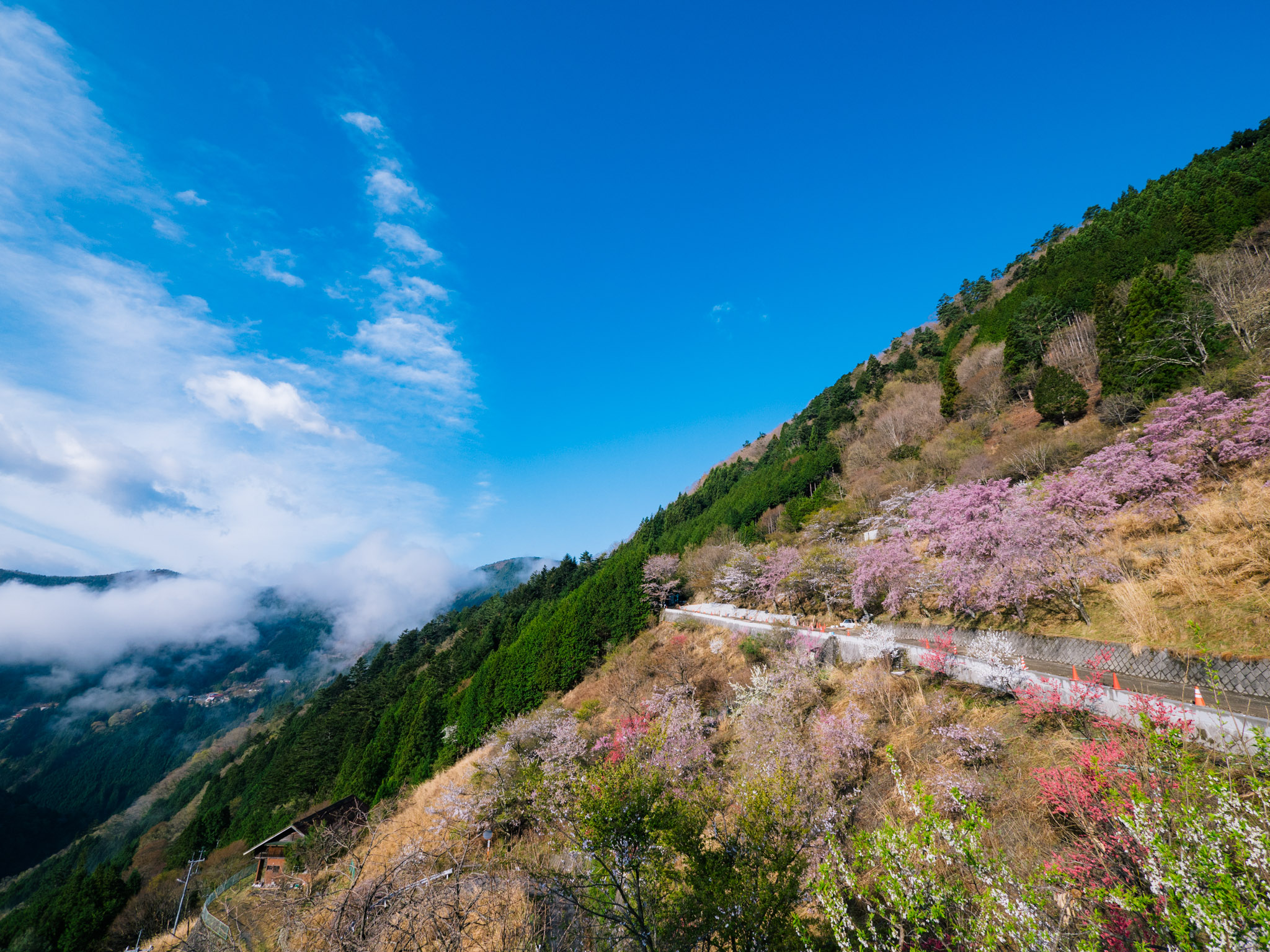 写真 2018-04-12 7 10 47