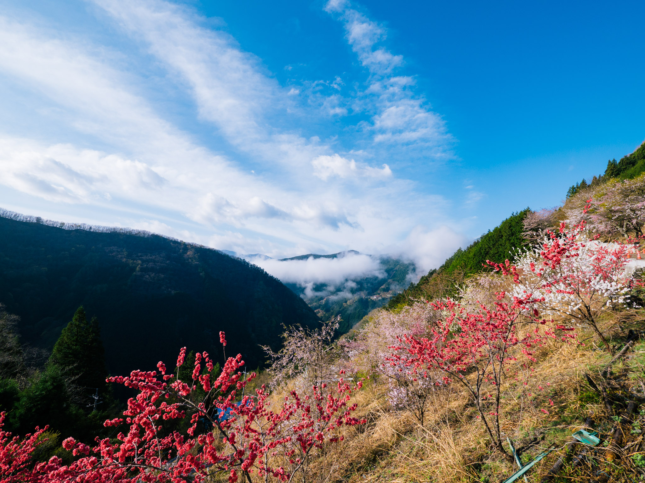 写真 2018-04-12 7 11 32