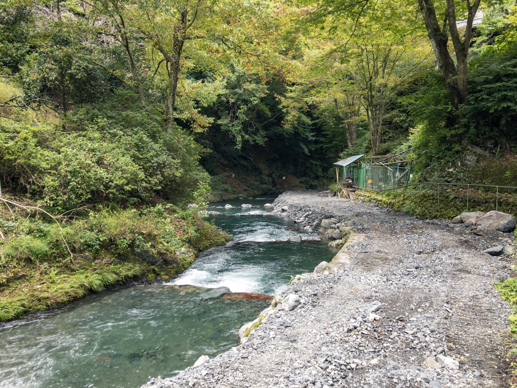 写真 2018-10-13 14 01 22