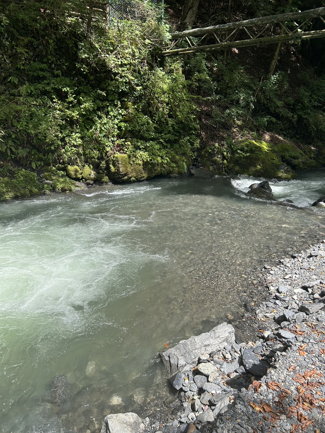 S__77234182_0