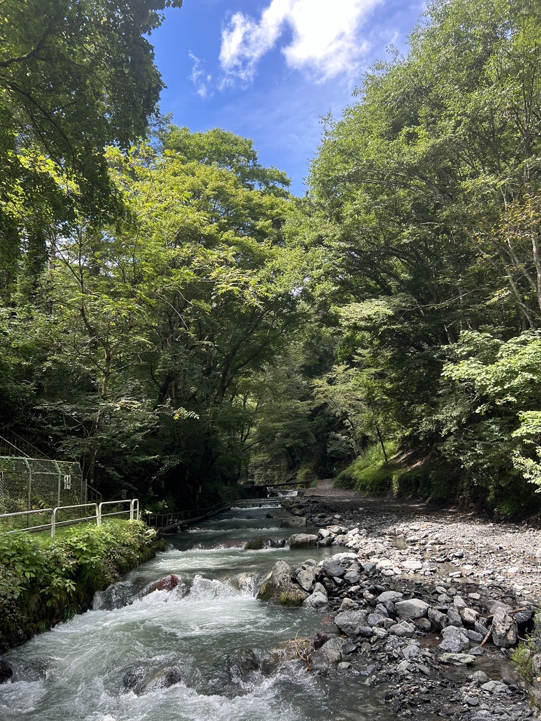S__77234186_0